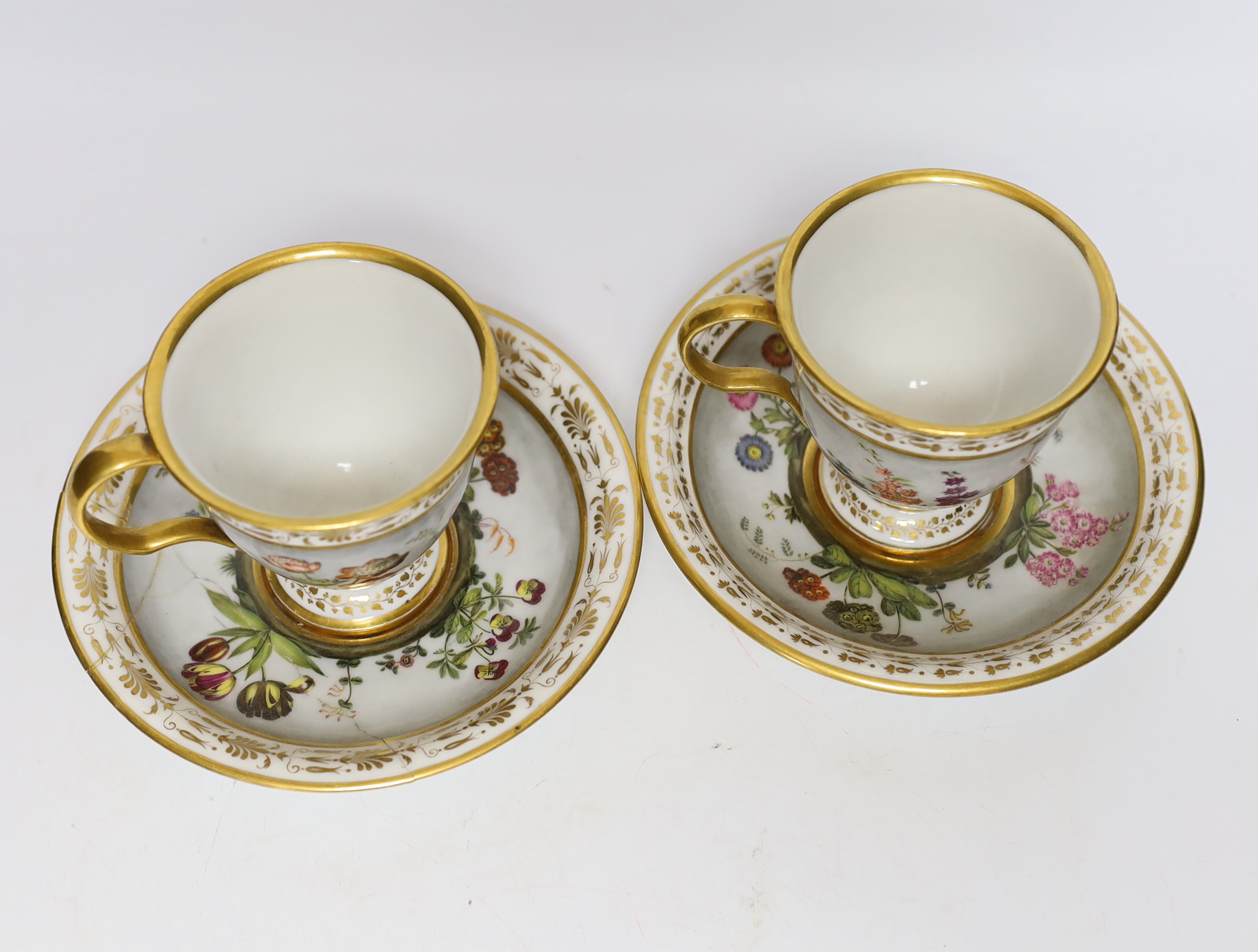 A pair of early 19th century Paris porcelain botanical cups and saucers, one signed Dihl, 9cm high